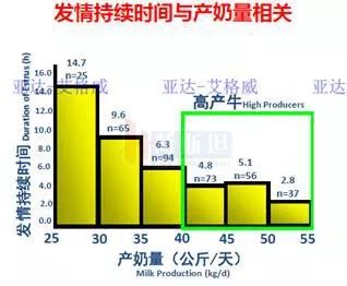 多多牧场高产奶牛的寿命,奶牛生产前有哪些症状