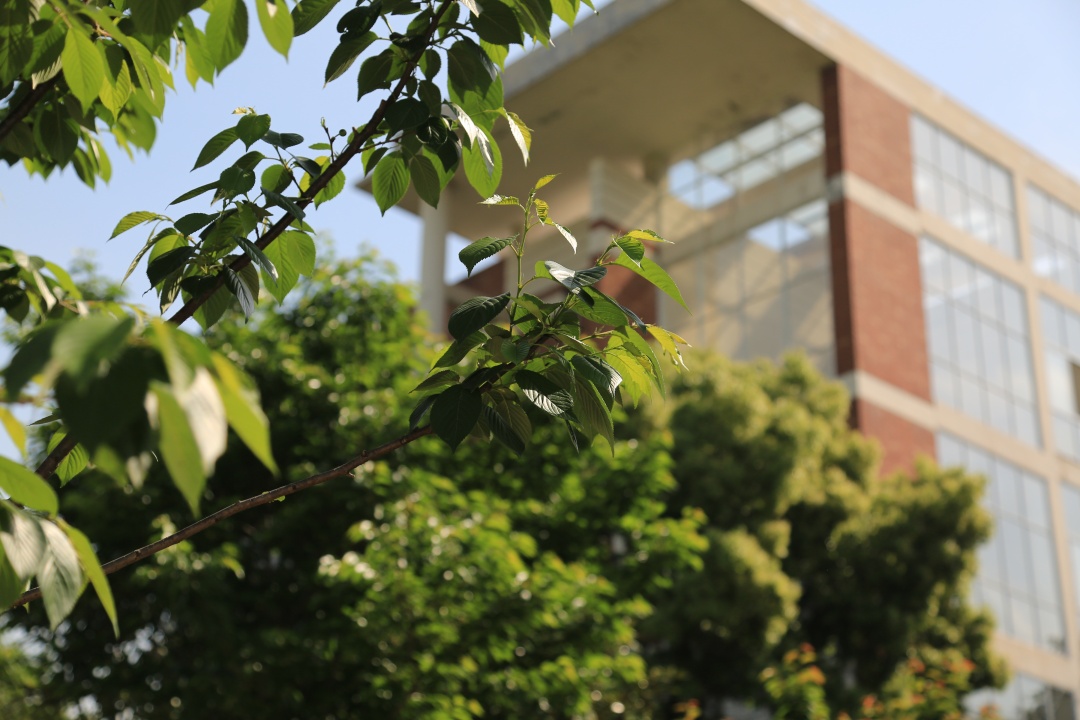 关于招生问答的解说,外院招生简章