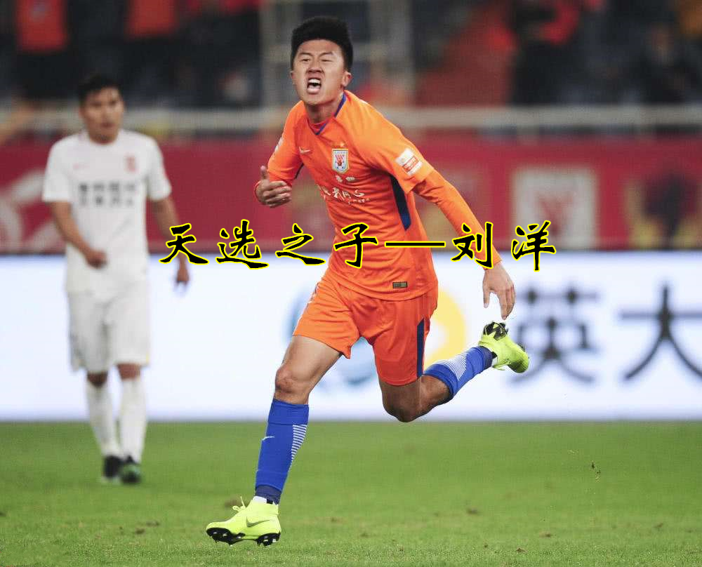 人物介绍天选之子,刘洋球员怎么样