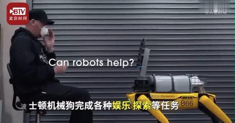 50万一只的波士顿机器狗,中国购买的波士顿机器狗