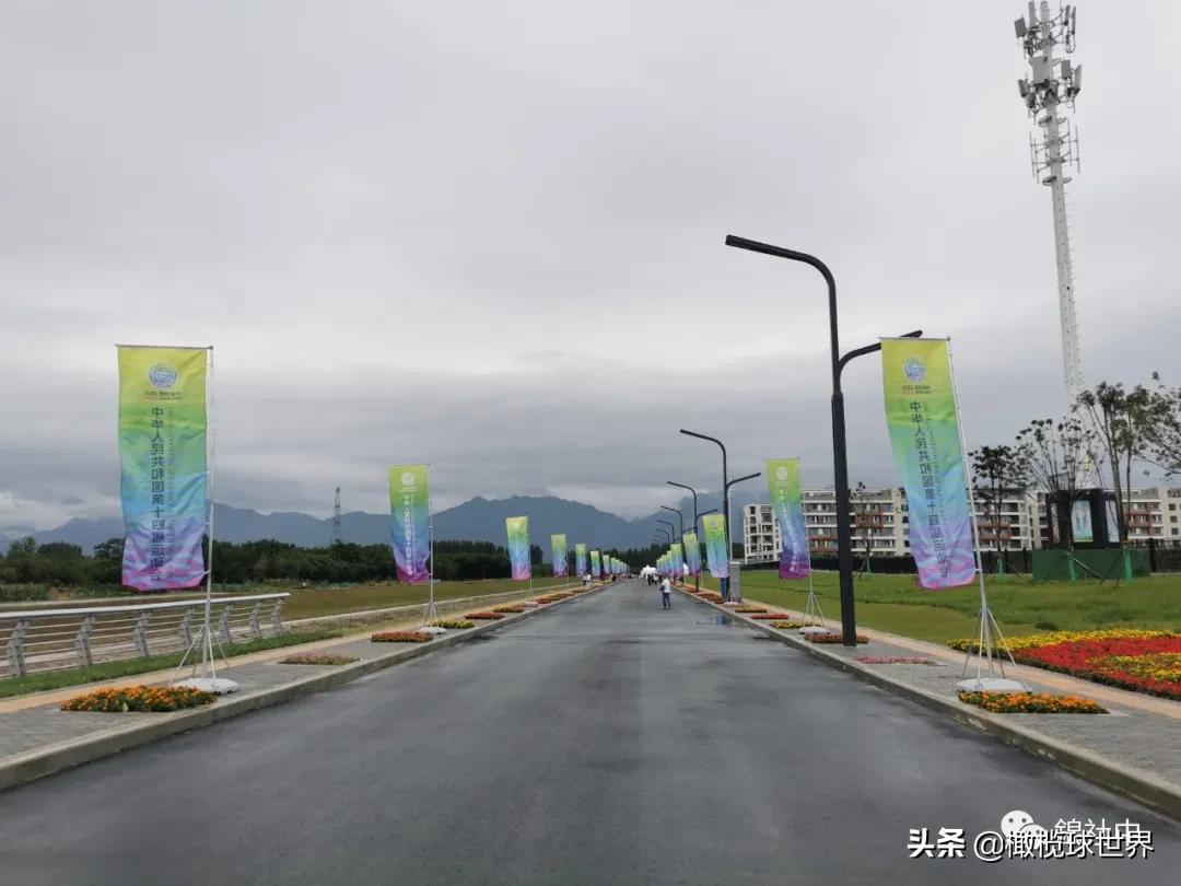 我与全运会的故事,我和校运会的故事作文