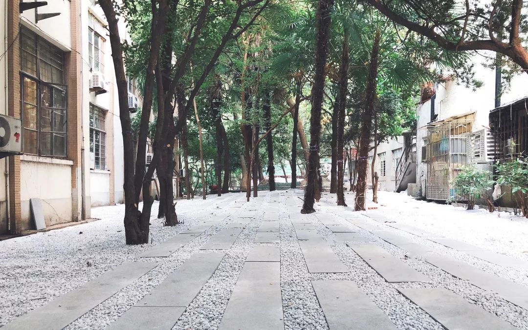 趣办空间|临窗观草木,*情纵**山水间:趣办@长乐路