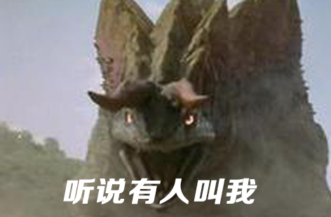 pdd被弹幕要求看乔碧萝,pdd对战乔碧萝