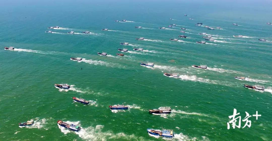 看饿了!南海开渔,佛山人去这些地方吃到high