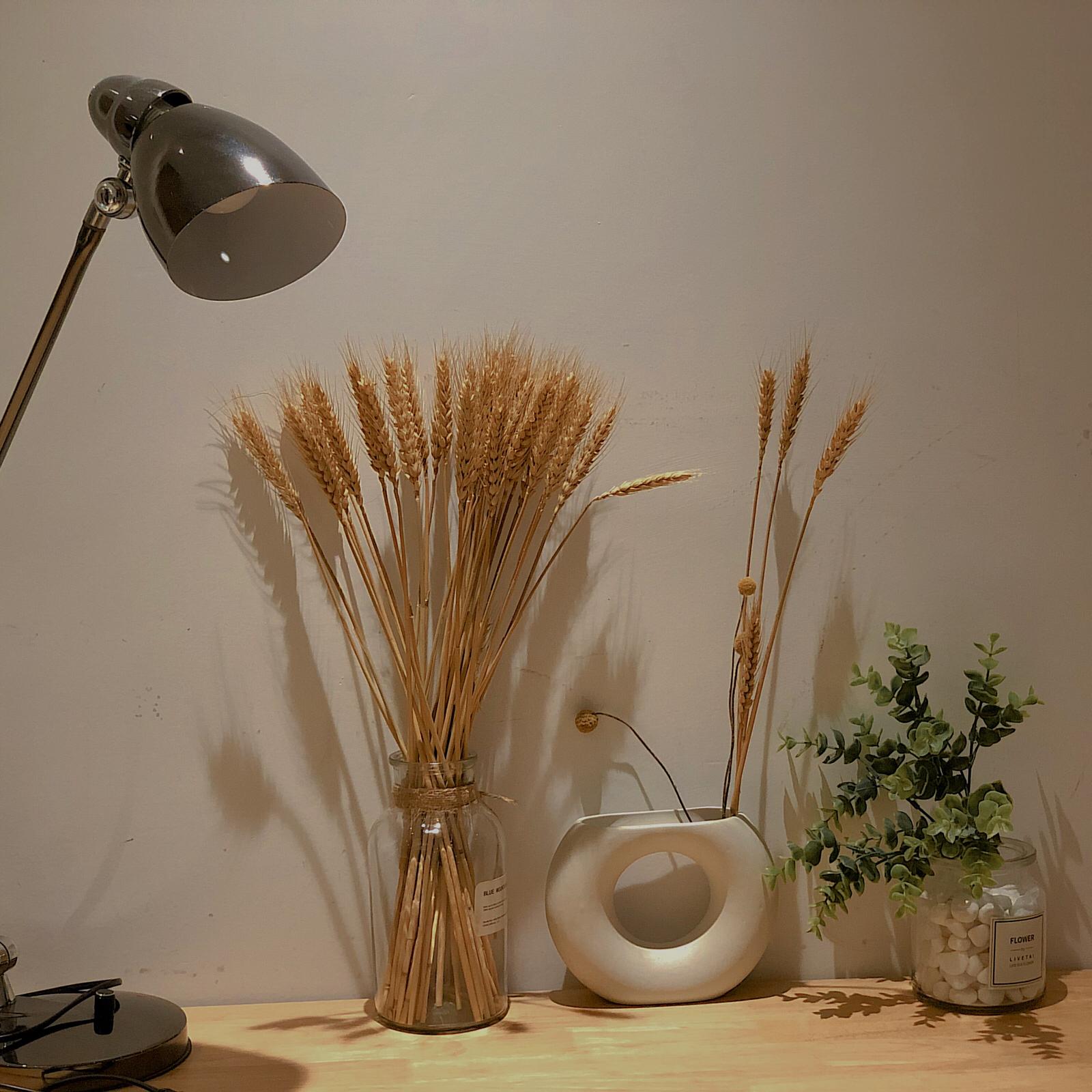 话要说给有回应的人听,话要说给能听得懂的人听