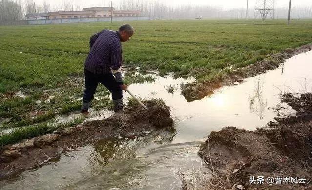 影响马铃薯生长的环境因素是什么,马铃薯的种植对欧洲的影响