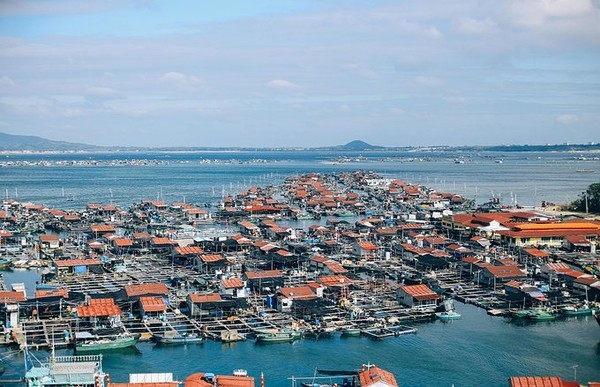 全球唯一猴岛,海南岛东方猕猴保护区