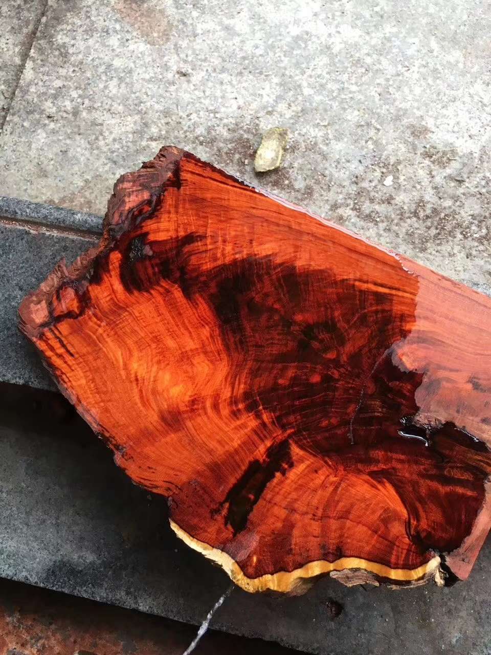 带你认识沉香,带你认识缅甸花梨