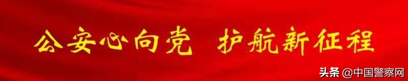 上海警方查获400万元假奥特曼,上海警方查获假奥特曼被送玩具