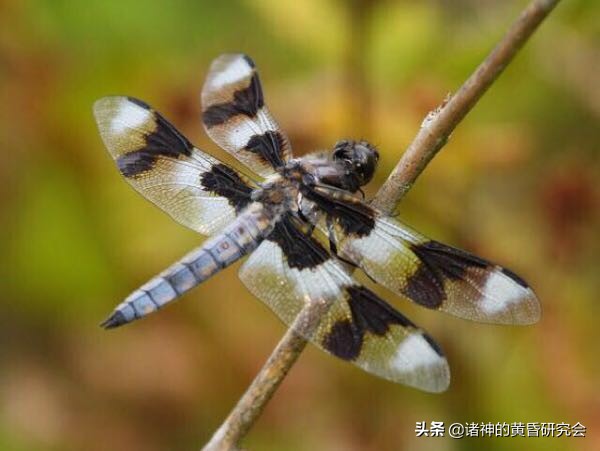 褰╃粯浜屾垬寰峰啗鍧﹀厠,褰╃粯涓殑鎴樹簤