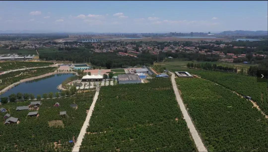 唐山市国庆去哪玩,国庆唐山怎么玩