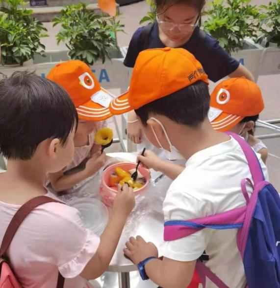 两个黄鹂趣味课堂,两个黄鹂主题课