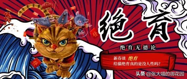 给猫咪绝育有多残忍,给猫咪绝育犯法吗