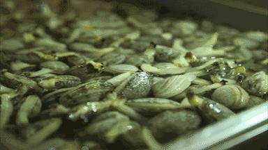 秦皇岛美食排行榜前十名海鲜,秦皇岛最好的海鲜自助餐厅排名榜