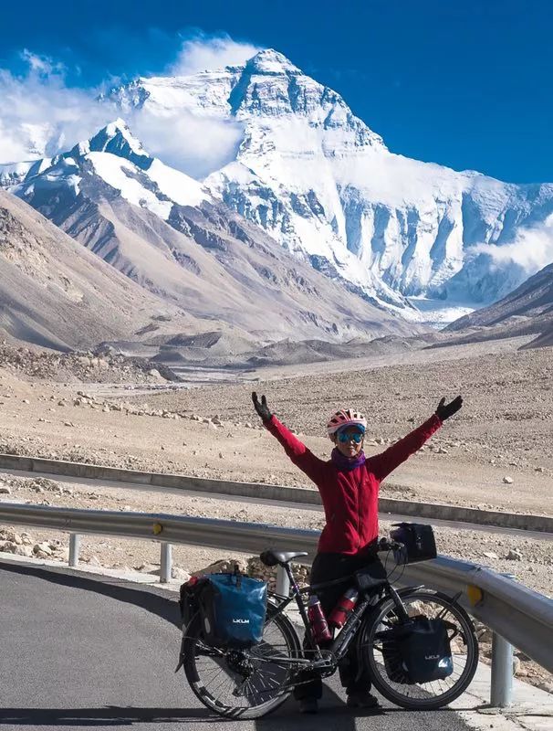 宠物美容专业的职业规划,宠物美容的理解与想法