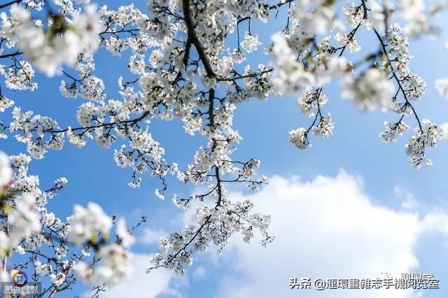 华清宫绝句杜牧,杜牧三十首绝句清丽绝俗