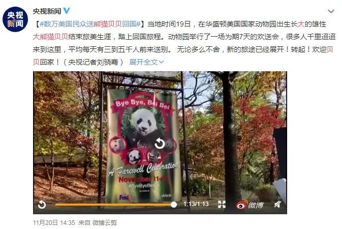 为什么全世界都喜欢大熊猫,世界各地的人们都喜爱大熊猫英语