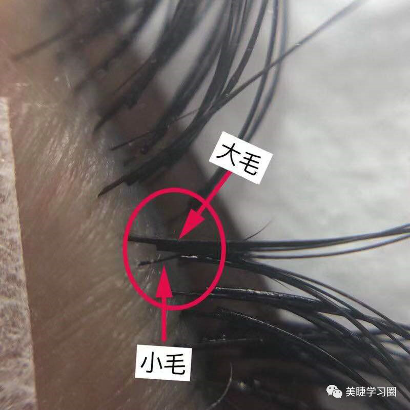 美睫要经常梳理睫毛吗,美睫睫毛出现问题怎么处理