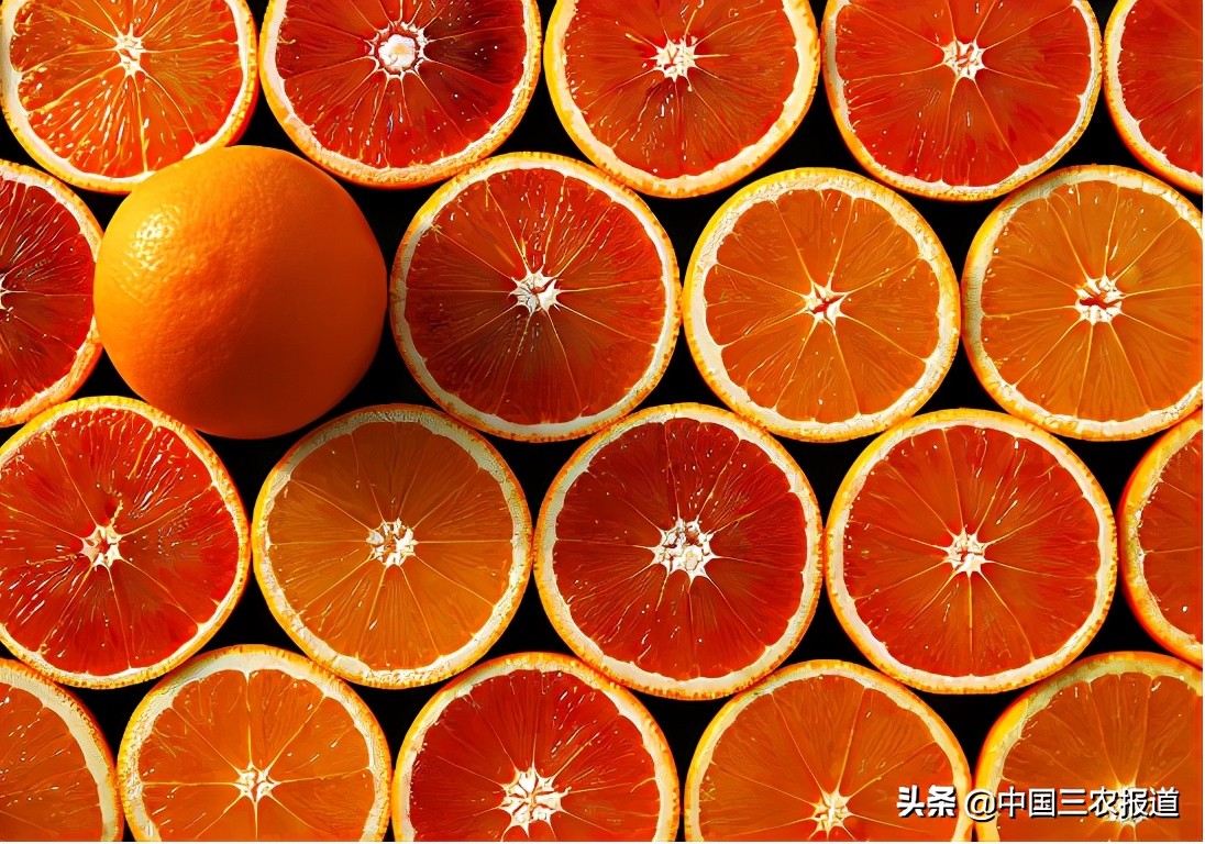 今日血橙行情 (2018年血橙价格行情)