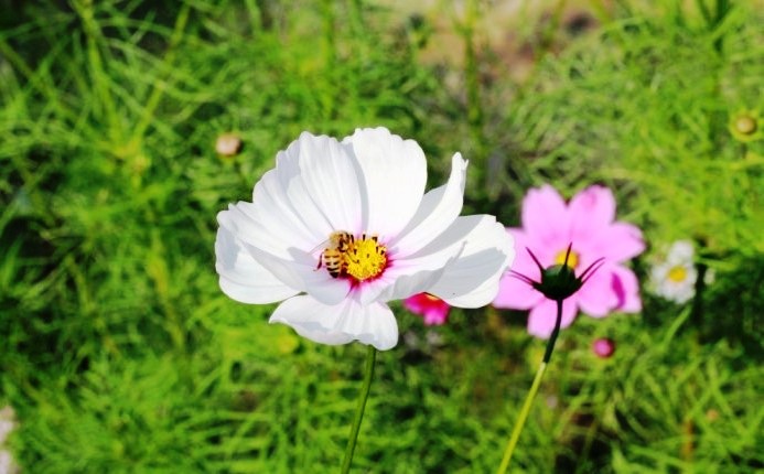 醒悟人生的句子透彻走心句句受益,看透人生醒悟的句子