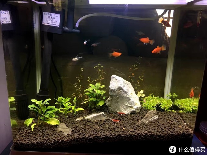 施耐德绎尚开关带小夜灯,施耐德绎尚智能插座