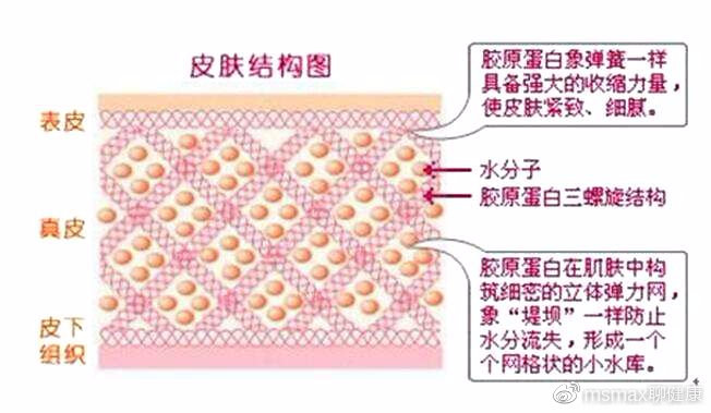 口服胶原蛋白功效文字版,口服的胶原蛋白真的有效果吗
