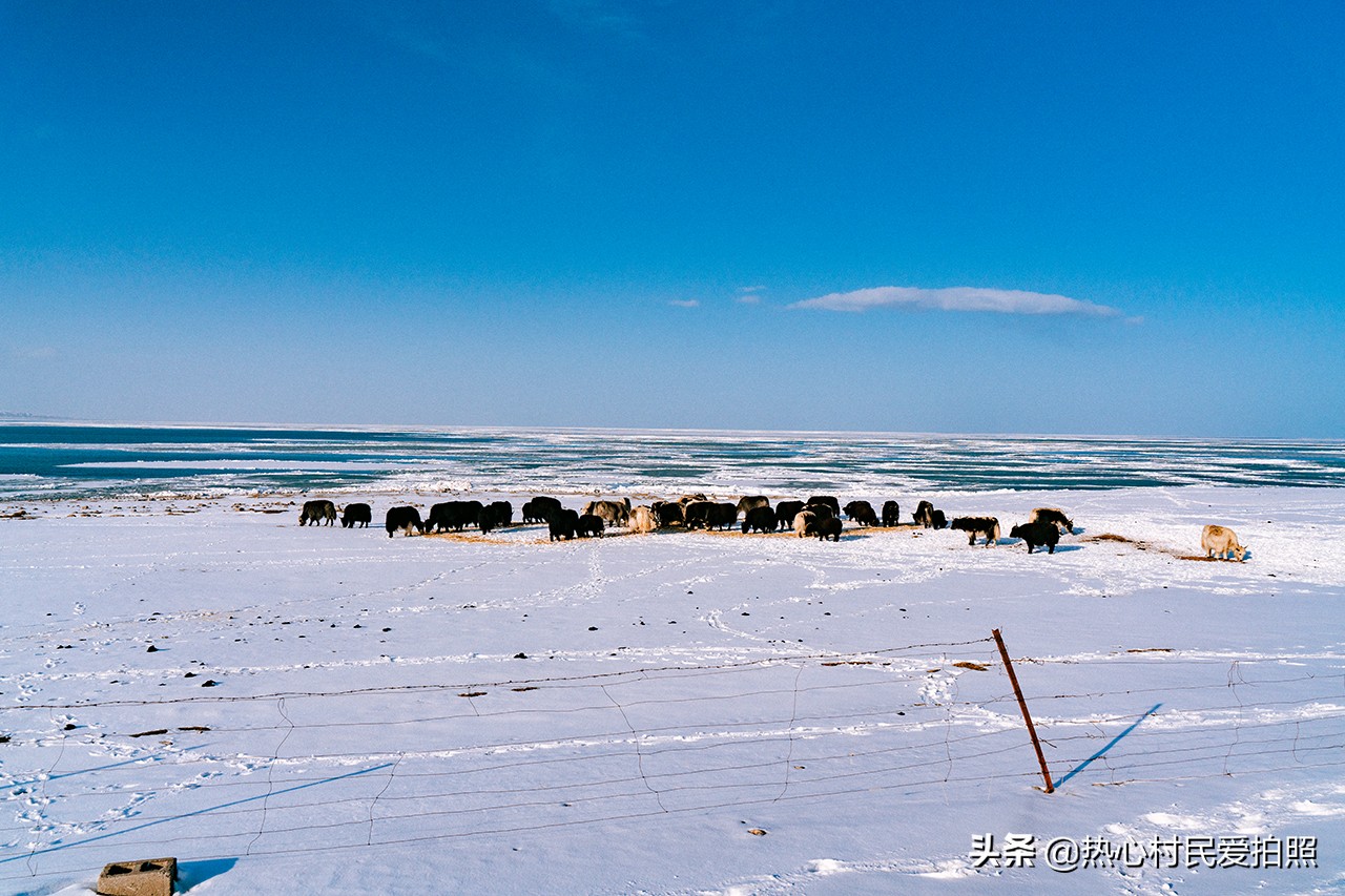 两个小伙去西藏,两个小伙在野外游玩