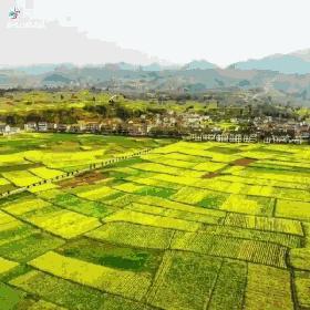 崂山花海,青岛崂山花海