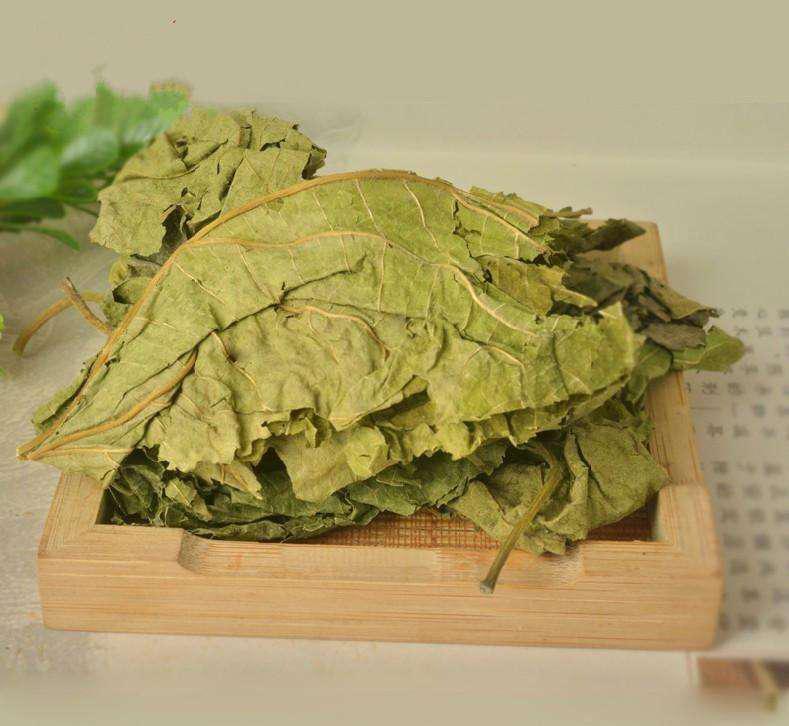 在这个干燥易过敏的季节，72岁名老中医每天必喝「桑蚕菊花茶」