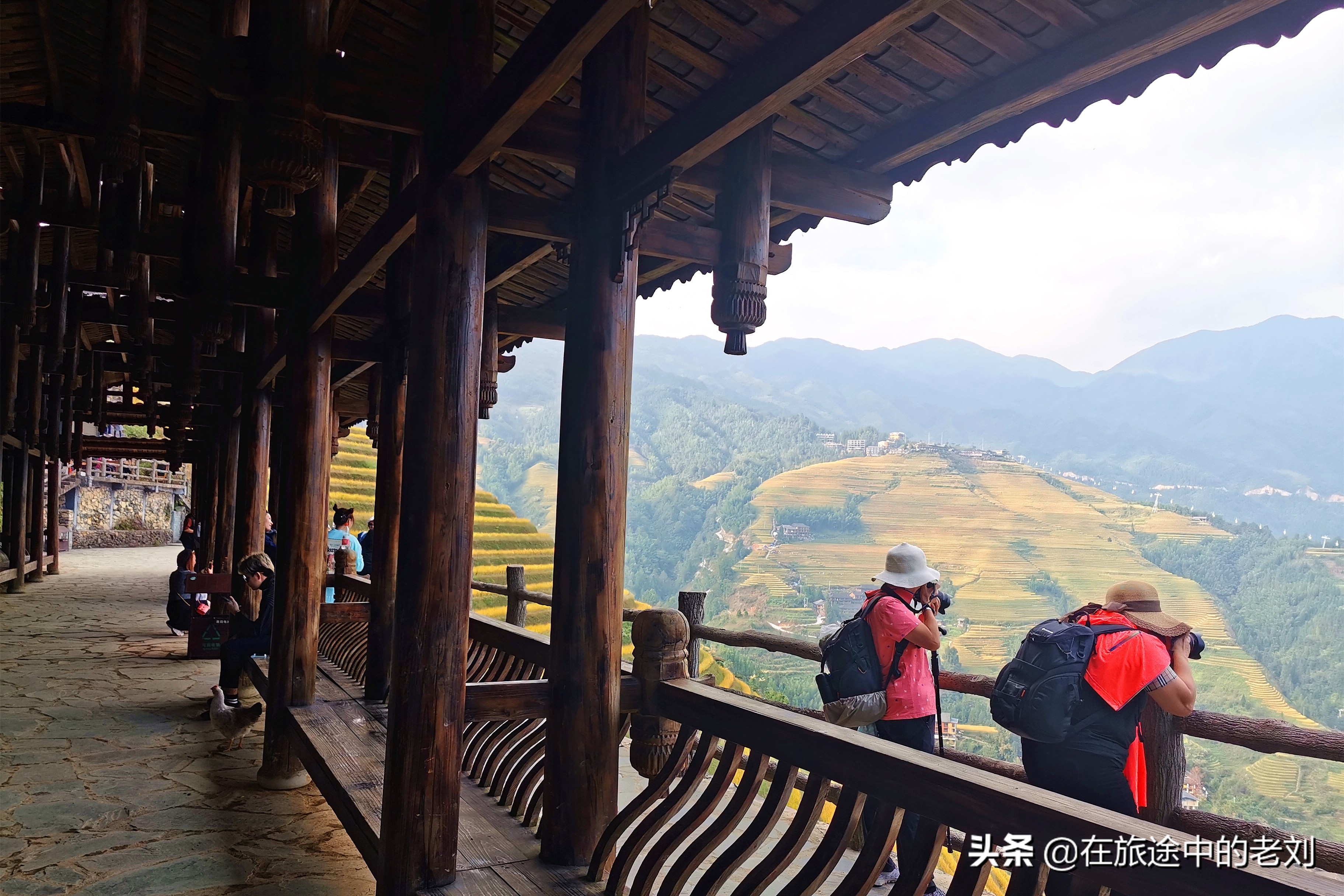 远赴龙脊大寨梯田，追逐今年最后的金黄——桂林七天游1