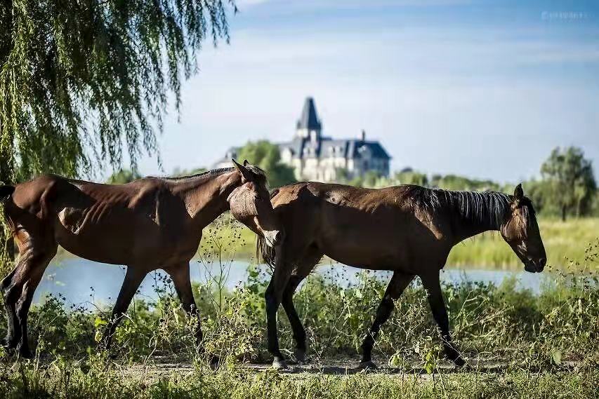 云豪减肥训练营,云豪全封闭式训练营优惠