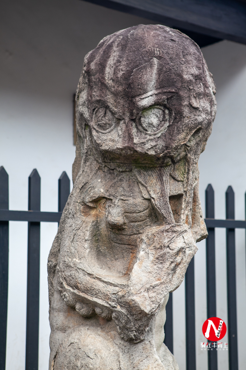 兴化看油菜花一日游,兴化千亩油菜花旅游