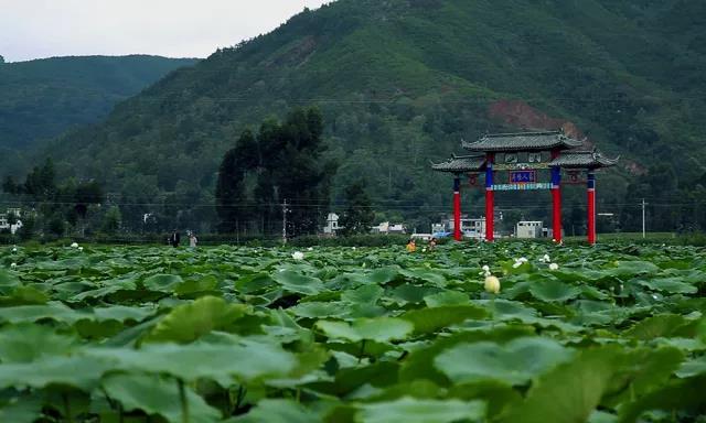 公务员真的一眼望到头吗,公务员的工作真的那么好吗