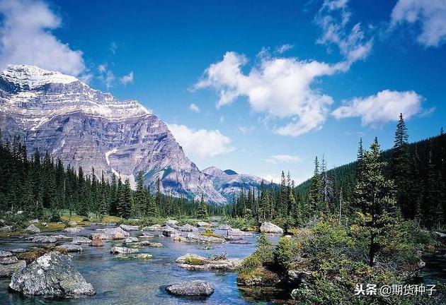 期货交易究竟是什么,期货长线交易之顿悟