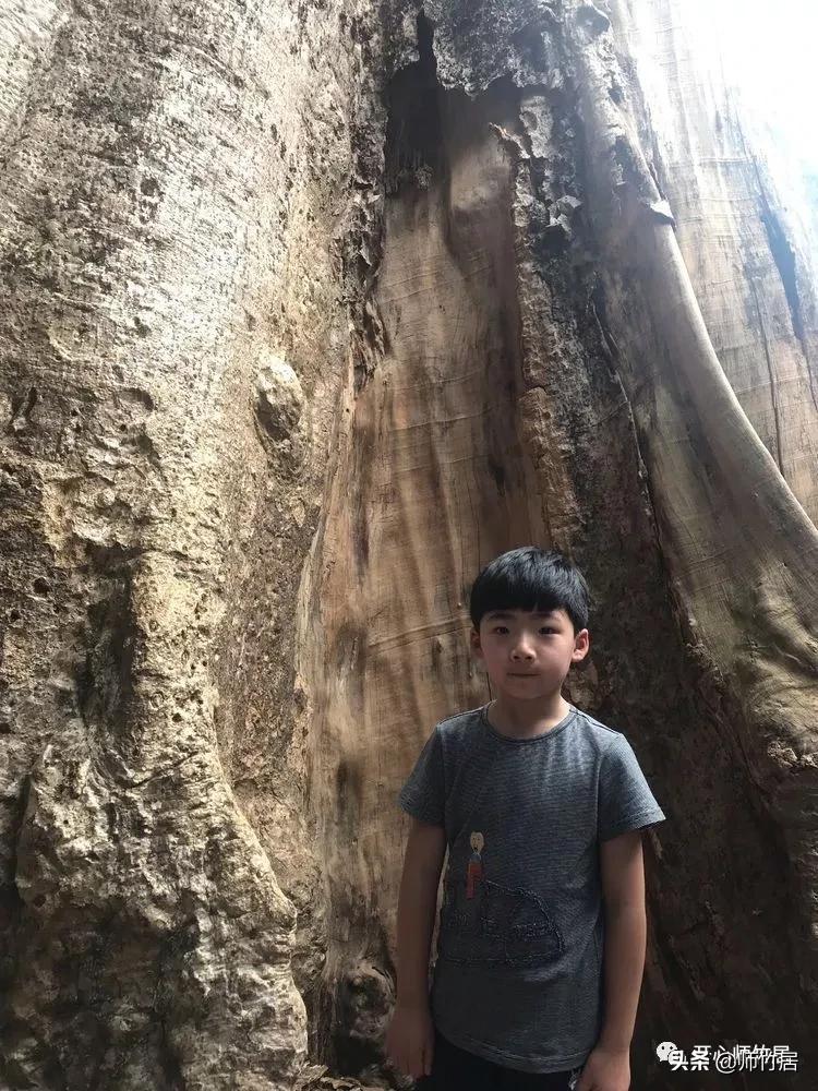 柬埔寨游记600字,柬埔寨游记美篇