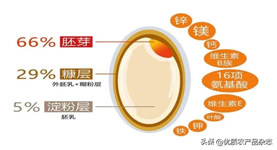 胚芽米和普通米哪个好吃,胚芽米被称为什么