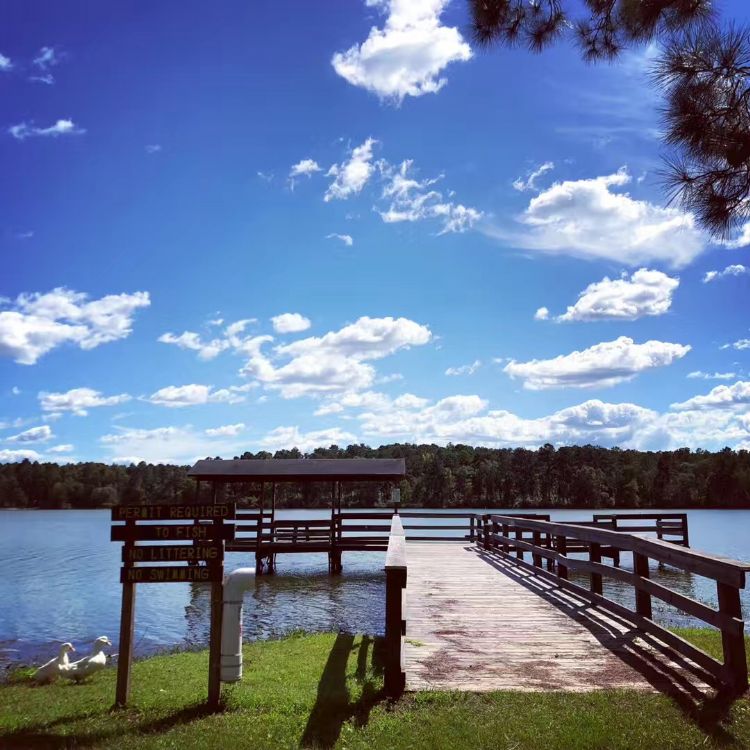 详实的荷兰留学费用一览表,荷兰留学费用与条件