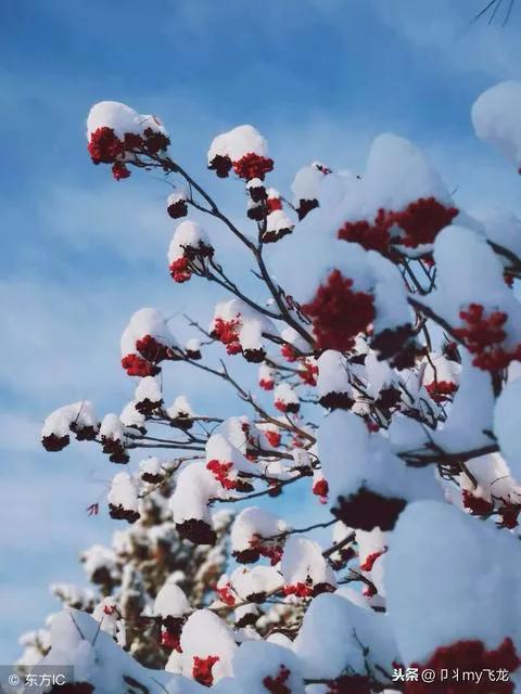 北方的冬天的风,北方的冬天生活日常