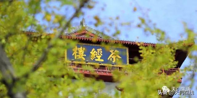 你以为的天门现实中的天门,天门是个怎样的城市