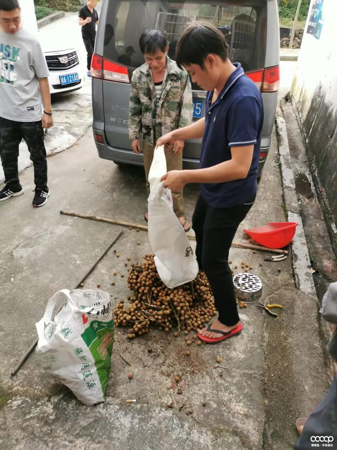 星月五指山料和毛感料区别,海南毛感星月介绍