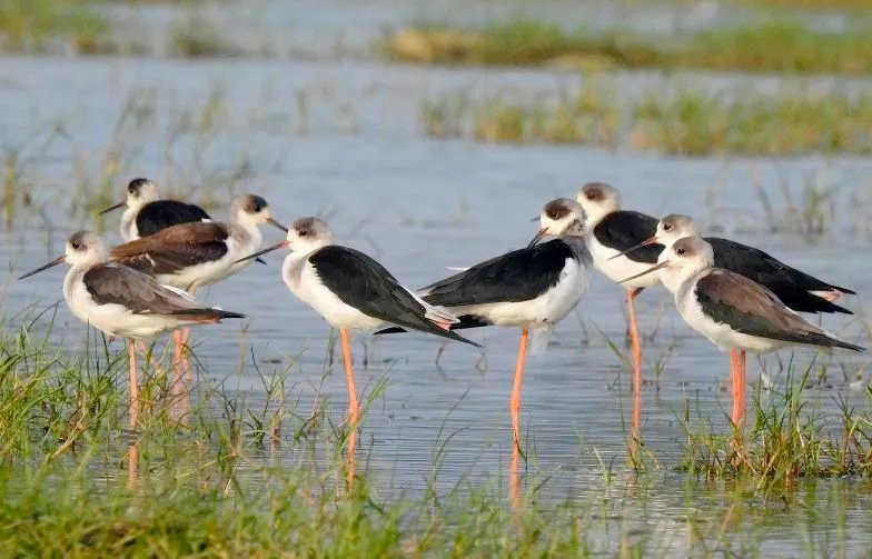 海南最美海湾石梅湾,海南最美的8大海湾