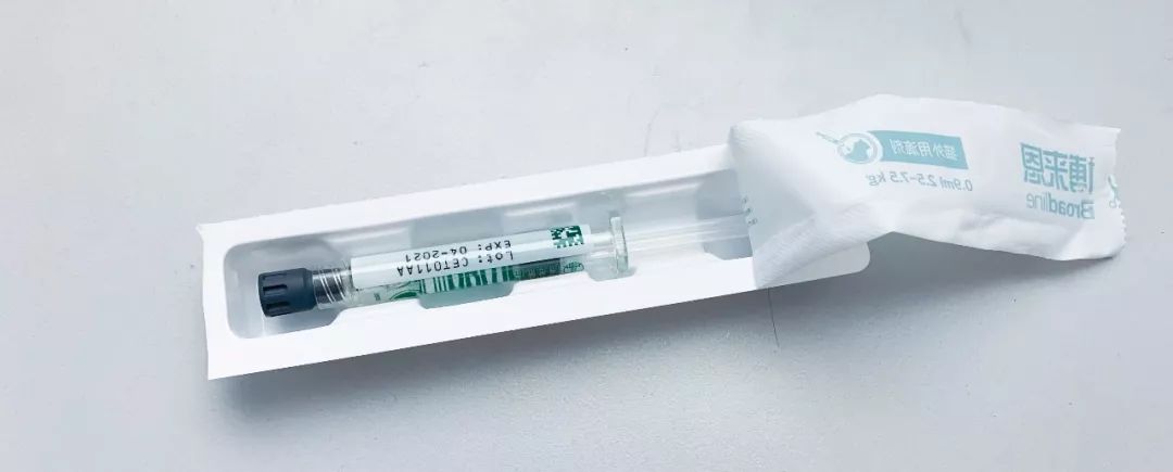 用了博来恩还要内驱吗,博来恩猫外驱