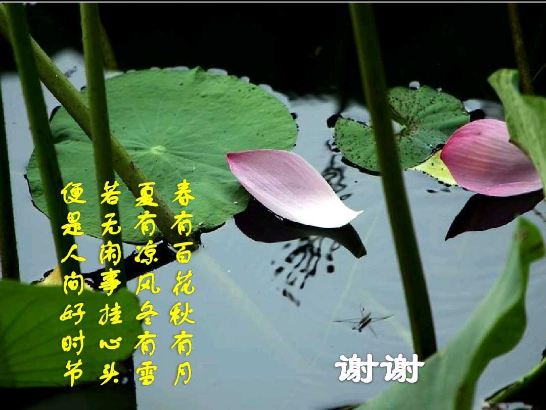 吸引力法则90分钟国语版电影,吸引力法则1-30集