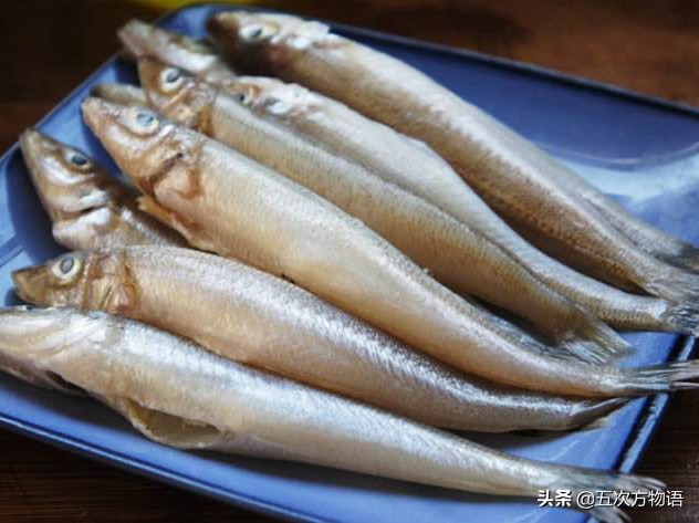 沙丁鱼的样子,真正的沙丁鱼