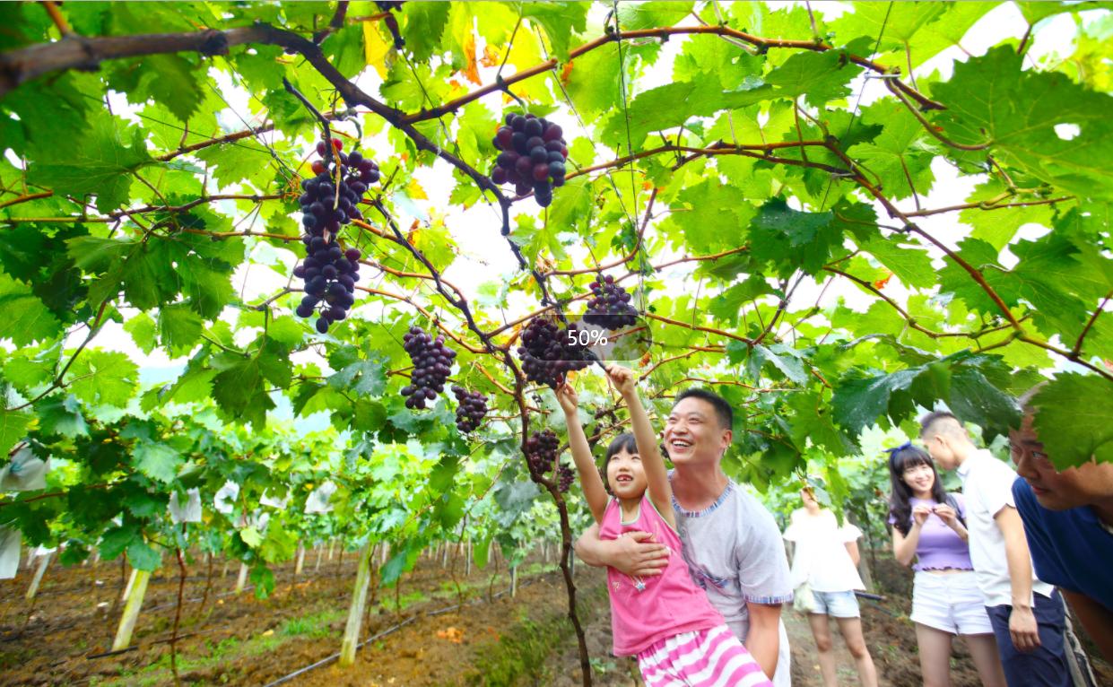 重庆之旅怎么样,重庆避暑5日游攻略从南川开始