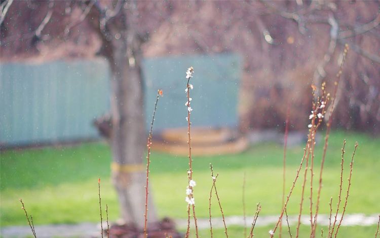 和老公闹离婚婆婆支持离婚,婆婆引发的夫妻矛盾导致离婚