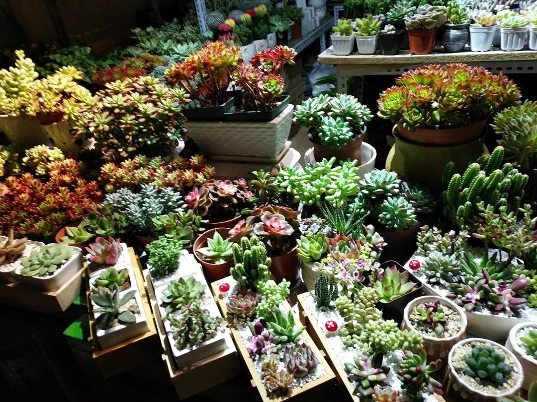 国内最治愈安静的地方,北京小众又文艺的地方