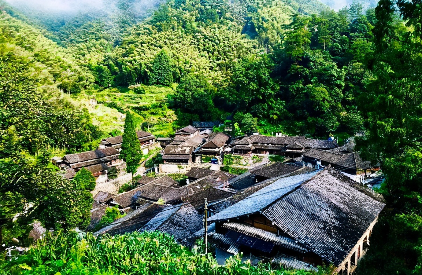 温州旅游攻略必去景点带孩子,温州游玩超详细攻略