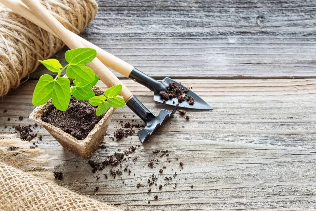 明明单词都懂但是听音就是听不懂,明明单词都认识怎么回事