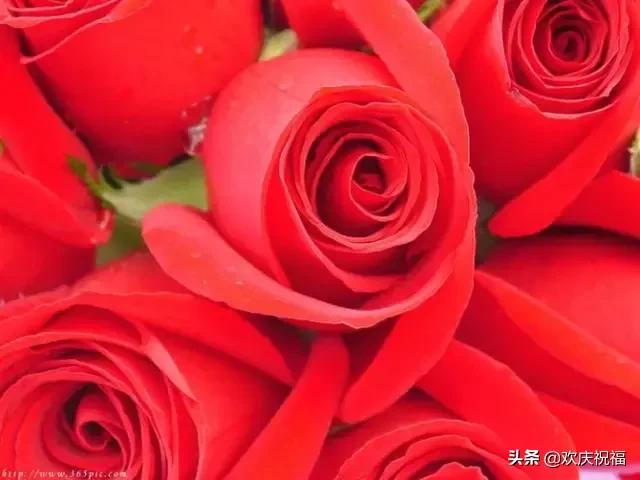 明日七夕，777幸福花送给群里所有的朋友，谁打开，谁幸福